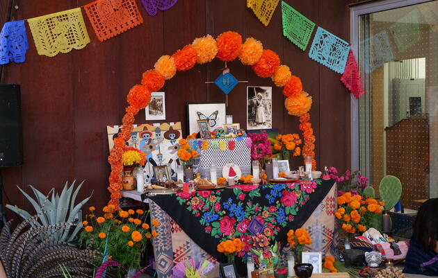 Rio Community Festival: Ancestral Showcase