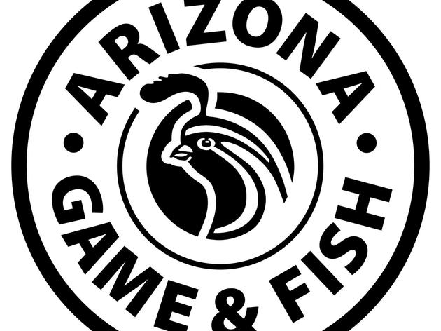 Arizona Game and Fish Wildlife Cams