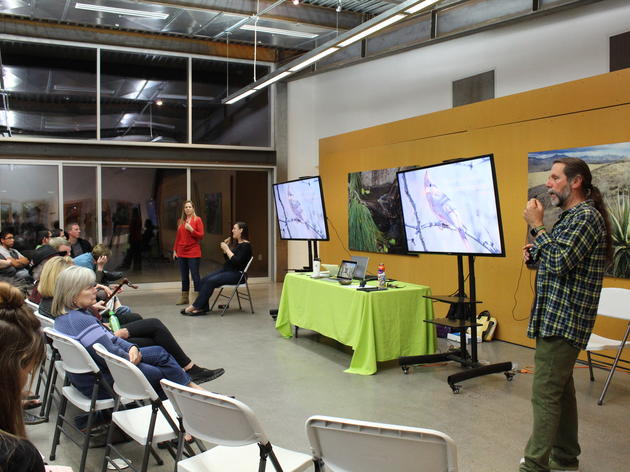 Birds n' Beer Recap: How Birds and Biomimicry can Improve Human Designs