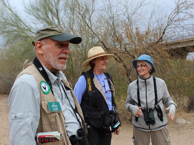 Saturday Morning Bird Walks