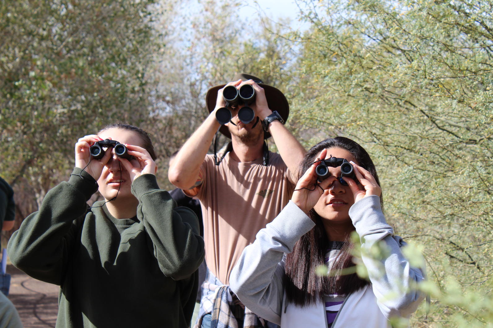A group of birders look up into the sky with their binoculars.
