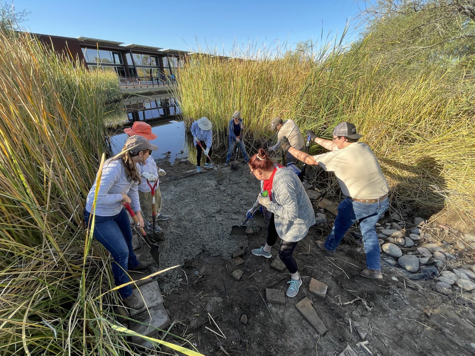 Volunteers work as a team to spread concrete in a recently cleared patch of cattails.