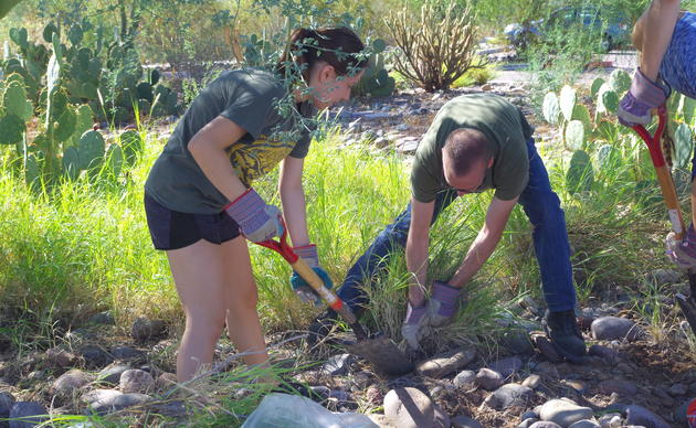 Fun Facts about hummingbirds | Rio Salado Audubon Center