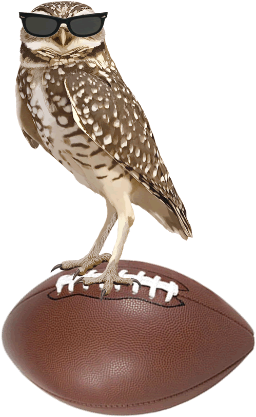 Happy Superb Owl Sunday : r/Superbowl